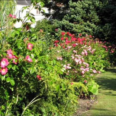 Bed and Breakfast Au Jardin Des Deux Ponts Abbeville Zewnętrze zdjęcie