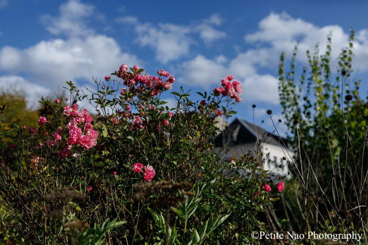 Bed and Breakfast Au Jardin Des Deux Ponts Abbeville Zewnętrze zdjęcie