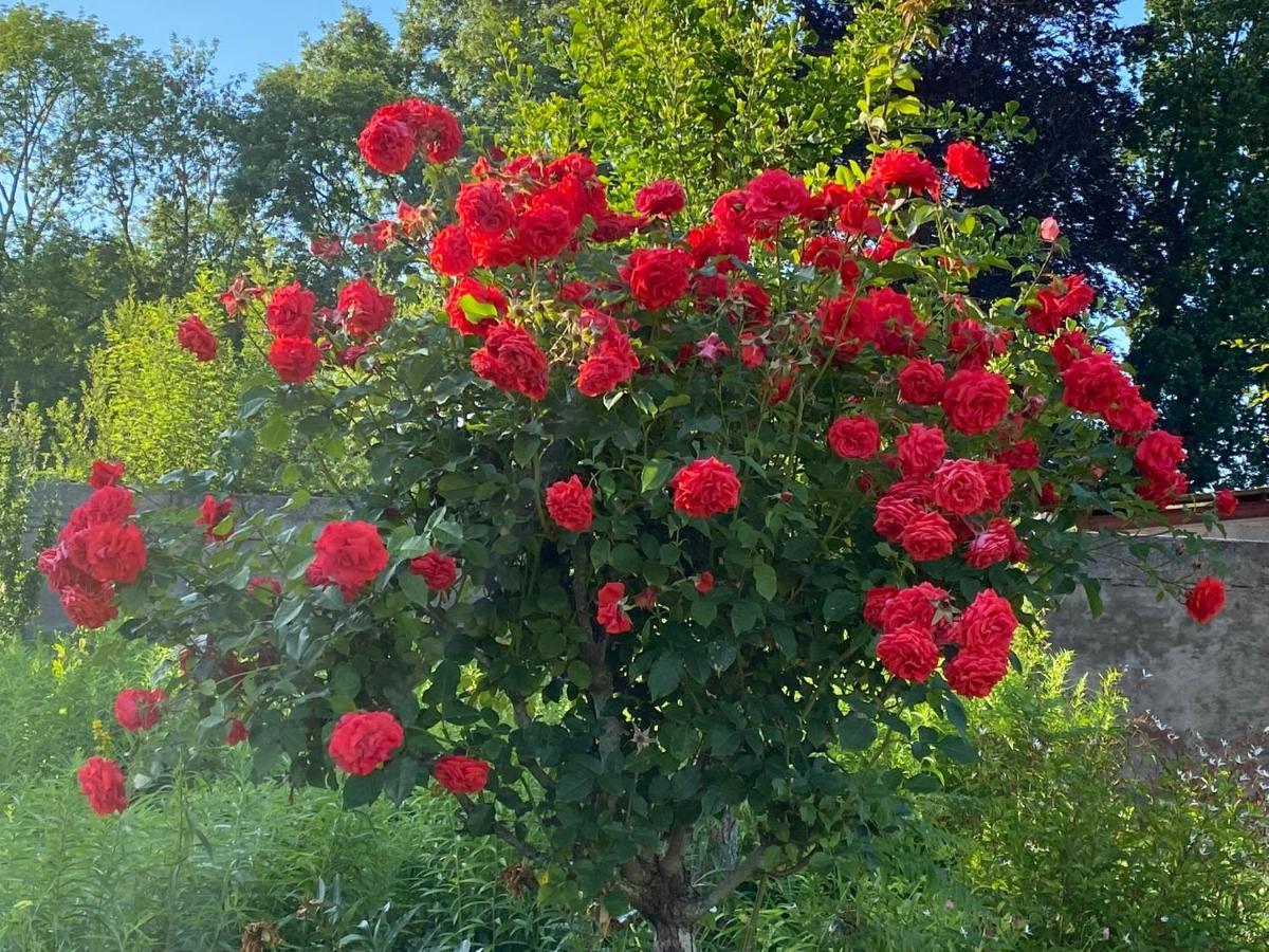 Bed and Breakfast Au Jardin Des Deux Ponts Abbeville Zewnętrze zdjęcie