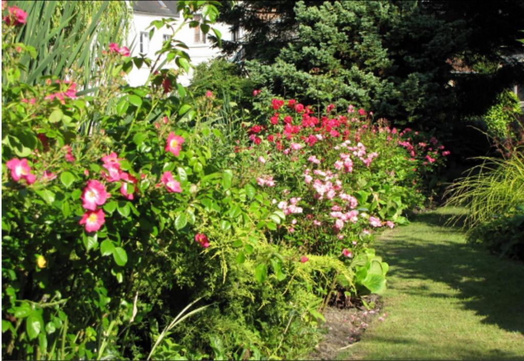 Bed and Breakfast Au Jardin Des Deux Ponts Abbeville Zewnętrze zdjęcie